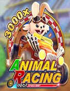 พนัน รู้ เล็ ต ออนไลน์ แบบมือโปร เล่นอย่างไรให้ปัง!